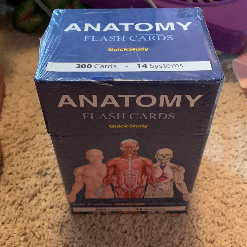 Anatomy Flash Cards